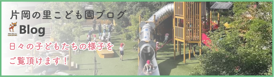 ブログへのリンク